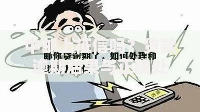 中邮上征信吗？贷款逾期后果与正确处理方法解析