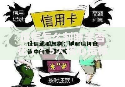 征信怎么判断是否花了？5大核心指标精准评估