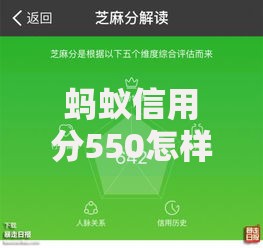 蚂蚁信用分550怎样选择合适的贷款额度？如何确定合理范围