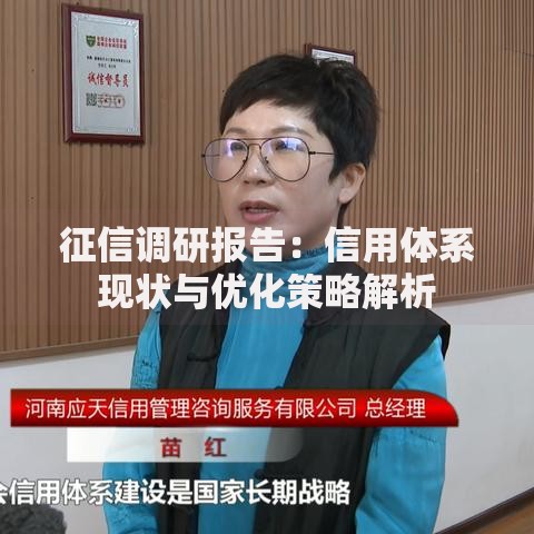 征信调研报告：信用体系现状与优化策略解析