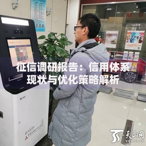 征信调研报告：信用体系现状与优化策略解析