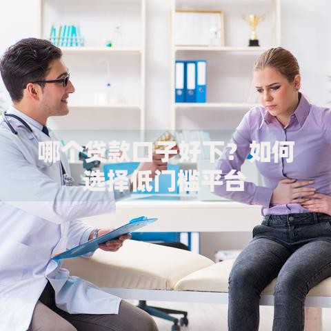 哪个贷款口子好下?如何选择低门槛平台 哪个贷款口子好下?如何选择低门槛平台