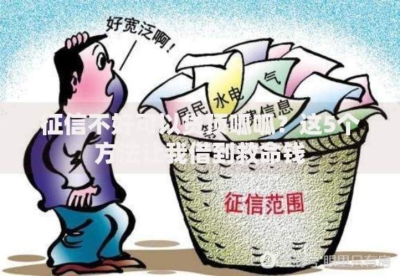 征信不好可以贷顶呱呱？这5个方法让我借到救命钱