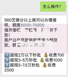 2025黑户必下款？最新贷款政策深度解析