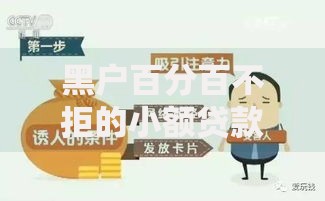 黑户百分百不拒的小额贷款真相与风险防范指南