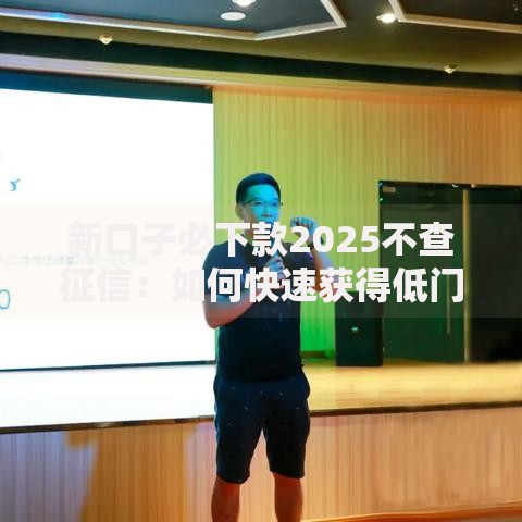 新口子必下款2025不查征信：如何快速获得低门槛贷款？