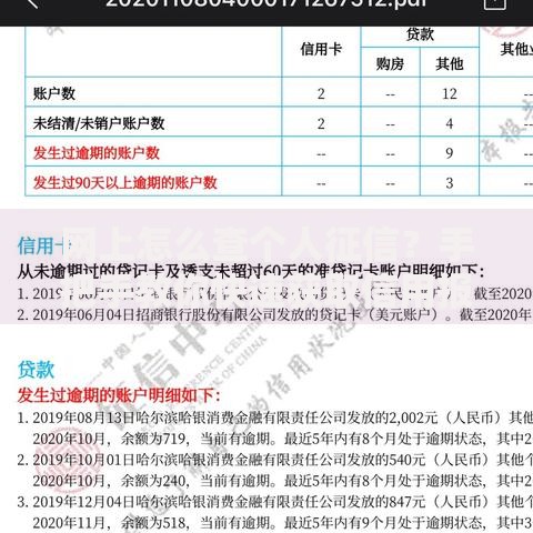 网上怎么查个人征信？手把手教你快速获取信用报告
