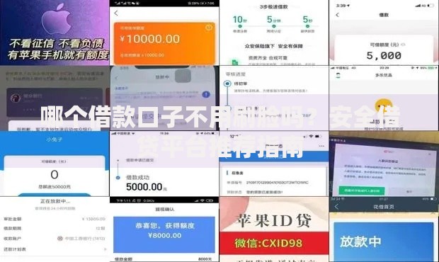 哪个借款口子不用刷脸吗？安全借贷平台推荐指南