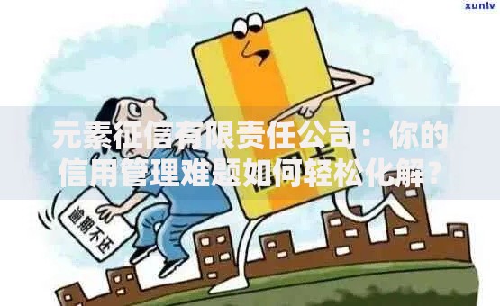 元素征信有限责任公司：你的信用管理难题如何轻松化解？