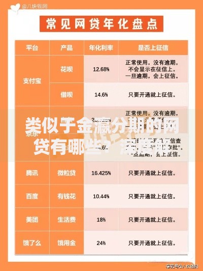 类似于金瀛分期的网贷有哪些？深度解析热门平台对比