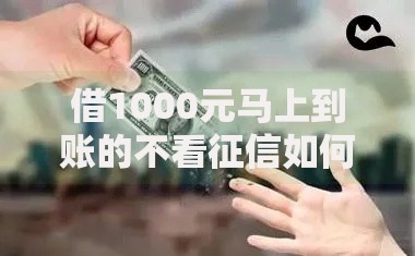 借1000元马上到账的不看征信如何申请?不看征信的注意事项有哪些 借1000元马上到账的不看征信如何申请?不看征信的注意事项有哪些