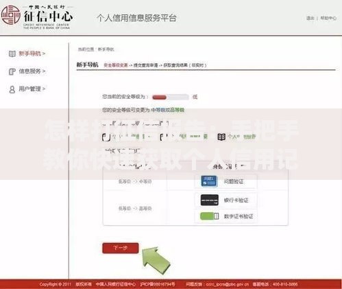 怎样打征信报告：手把手教你快速获取个人信用记录