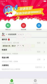 黑户借款百分百下款了背后的真相与风险解析