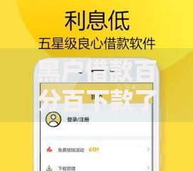 黑户借款百分百下款了背后的真相与风险解析