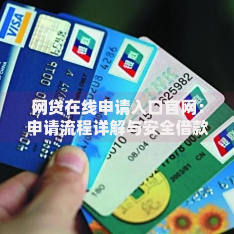网贷在线申请入口官网：申请流程详解与安全借款指南