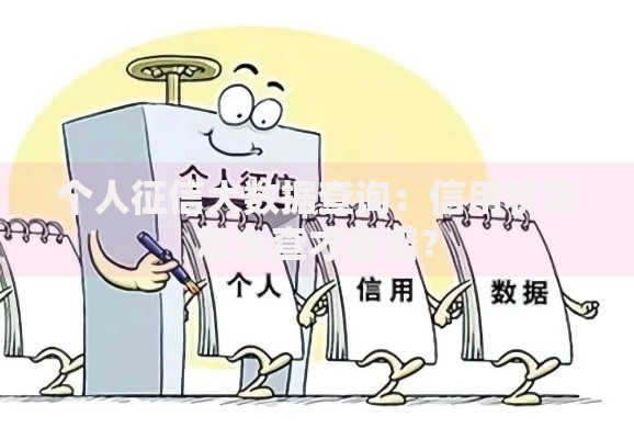 个人征信大数据查询：信用状况怎么查才靠谱？