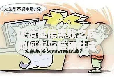 还清征信黑账之后如何恢复信用并成功申请贷款