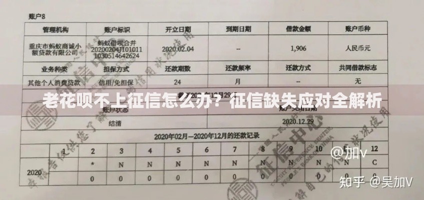 老花呗不上征信怎么办？征信缺失应对全解析
