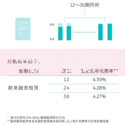 特斯拉逾期一天上征信会影响个人贷款吗？