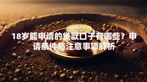 18岁能申请的贷款口子有哪些？申请条件与注意事项解析