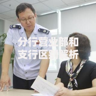 分行营业部和支行区别解析：搞懂银行网点层级如何选服务