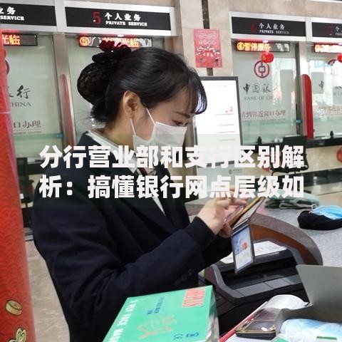 分行营业部和支行区别解析：搞懂银行网点层级如何选服务