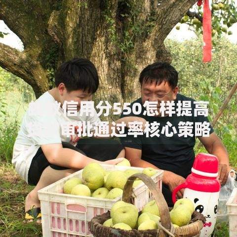 蚂蚁信用分550怎样提高贷款审批通过率核心策略