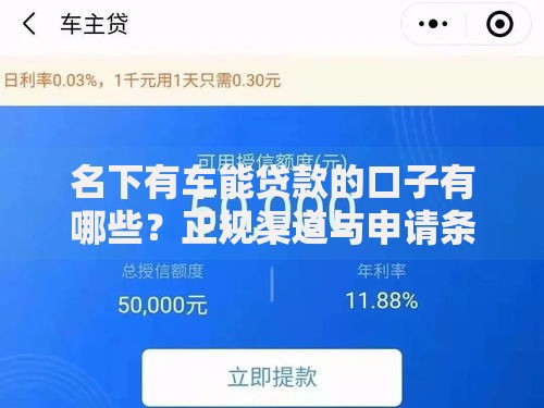 名下有车能贷款的口子有哪些？正规渠道与申请条件解析