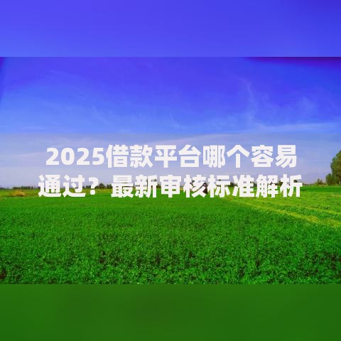 2025借款平台哪个容易通过？最新审核标准解析