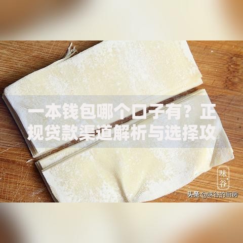 一本钱包哪个口子有？正规贷款渠道解析与选择攻略