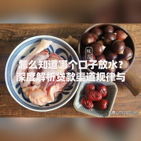 怎么知道哪个口子放水？深度解析贷款渠道规律与筛选技巧
