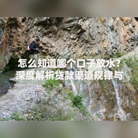 怎么知道哪个口子放水？深度解析贷款渠道规律与筛选技巧