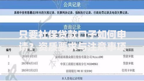 只要社保贷款口子如何申请？资质要求与注意事项详解