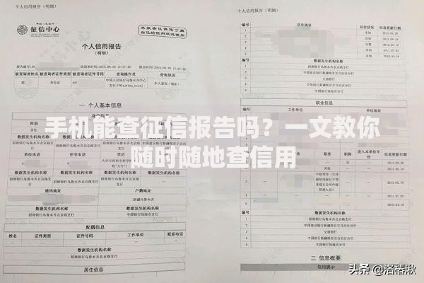 哪个平台借款不看征信而且可信？深度解析正规渠道选择攻略