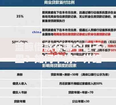 蓝鲸借款在哪个口子里？如何申请？详细流程解析