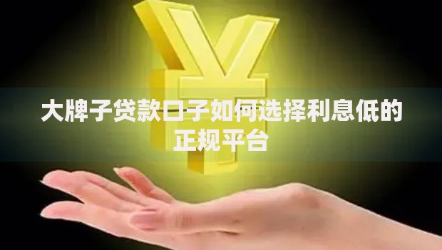 大牌子贷款口子如何选择利息低的正规平台