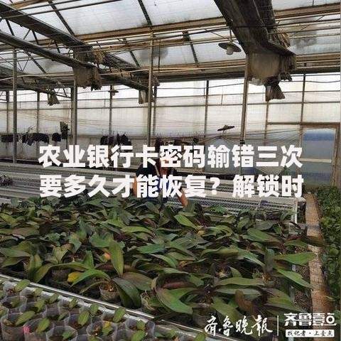农业银行卡密码输错三次要多久才能恢复？解锁时间与解决方法