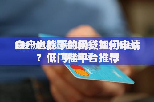 白户也能下的网贷如何申请？低门槛平台推荐