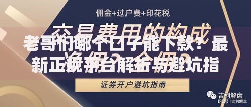 老哥们哪个口子能下款？最新正规平台解析与避坑指南
