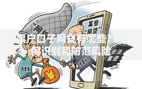 黑户口子网贷有哪些？如何识别和防范风险