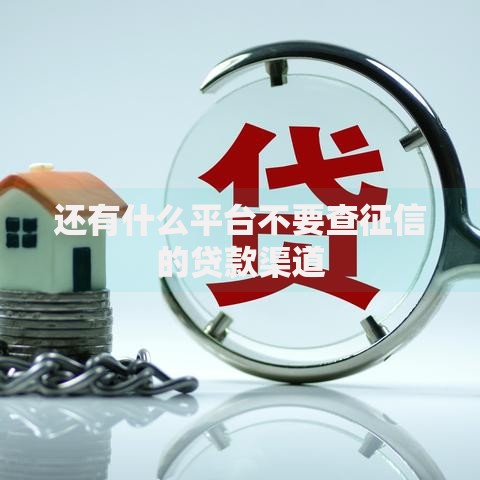 还有什么平台不要查征信的贷款渠道