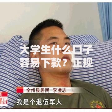 大学生什么口子容易下款？正规贷款渠道深度解析
