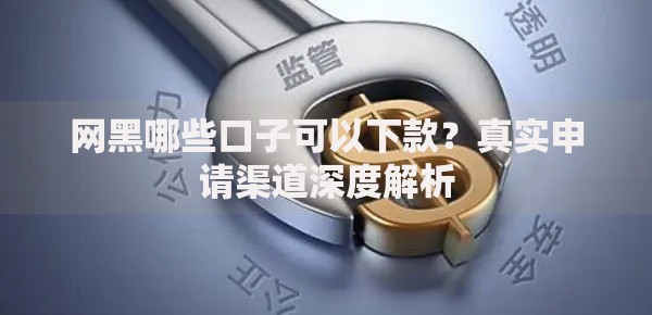 网黑哪些口子可以下款？真实申请渠道深度解析