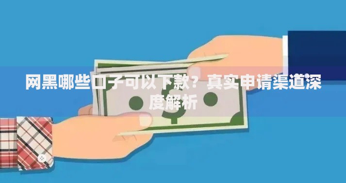 网黑哪些口子可以下款？真实申请渠道深度解析