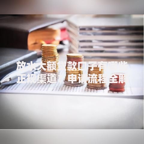放水大额贷款口子有哪些正规渠道？申请流程全解析