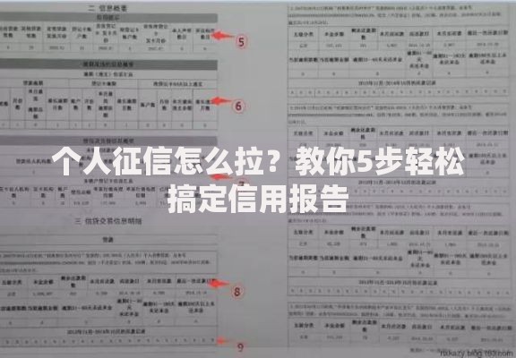 个人征信怎么拉？教你5步轻松搞定信用报告