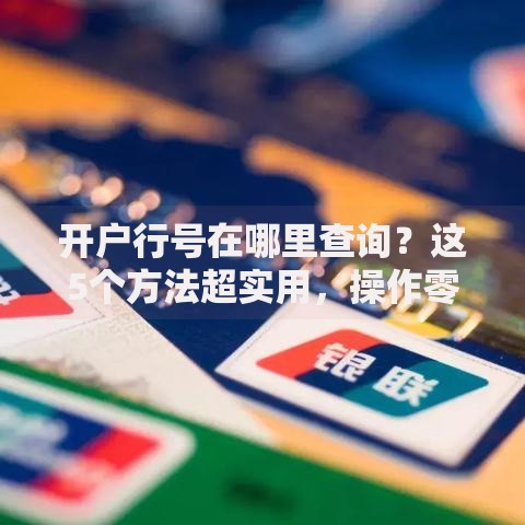 开户行号在哪里查询？这5个方法超实用，操作零难度