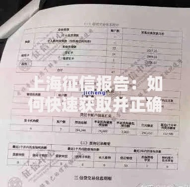 上海征信报告：如何快速获取并正确解读信用记录？