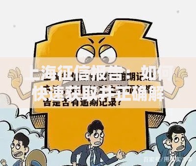 上海征信报告：如何快速获取并正确解读信用记录？