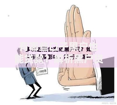有哪些口子黑户也能贷款？解析黑户贷款渠道与注意事项